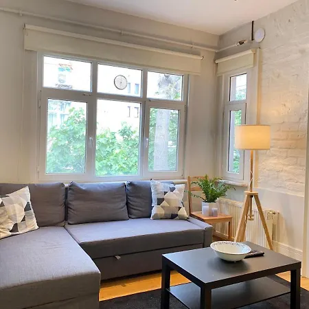 Dreamy Flat Close To Touristic Attractions In The Heart Of Beyoglu 公寓 *