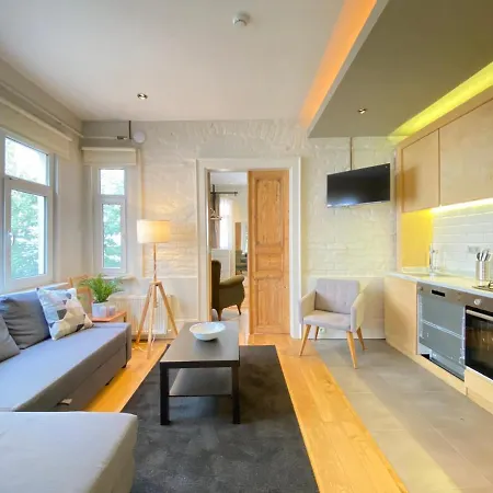 Dreamy Flat Close To Touristic Attractions In The Heart Of Beyoglu 伊斯坦布尔