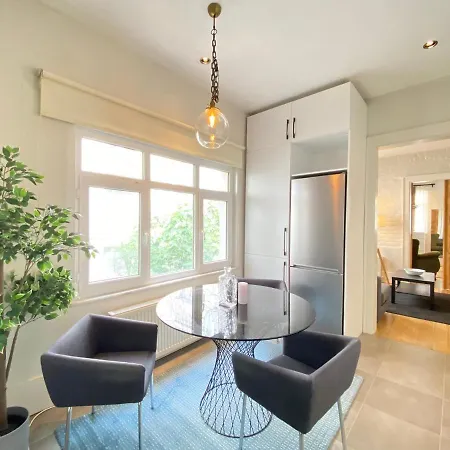 Dreamy Flat Close To Touristic Attractions In The Heart Of Beyoglu 公寓